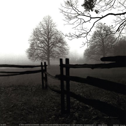 Framed Fence in the Mist Print