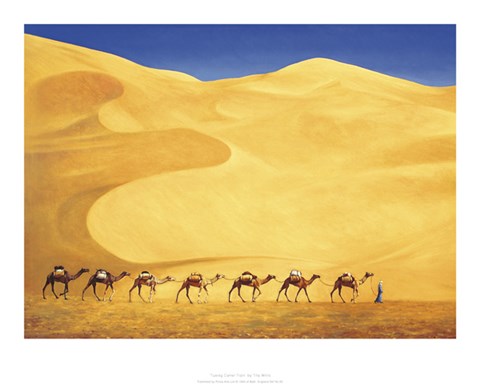 Framed Tuareg Camel Train Print