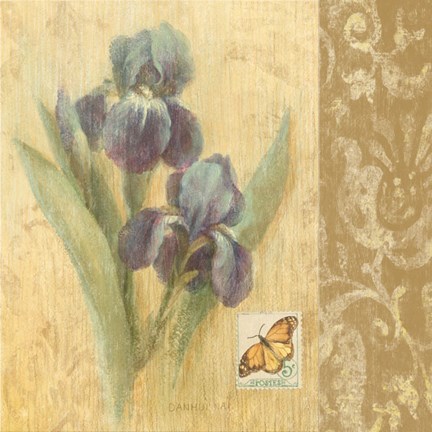 Framed Botanical Butterfly IV Print