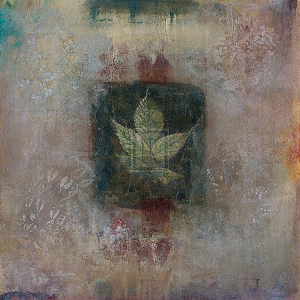 Framed Shadow Of The Fall III Print