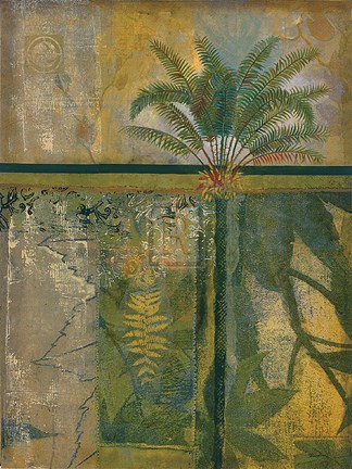 Framed Equatorial Beauty I Print