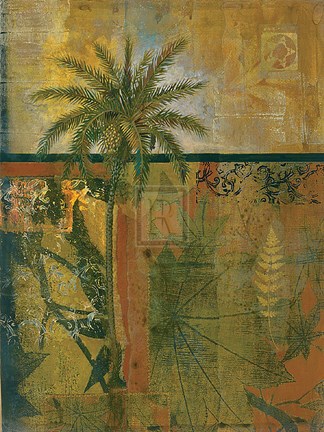 Framed Equatorial Beauty III Print