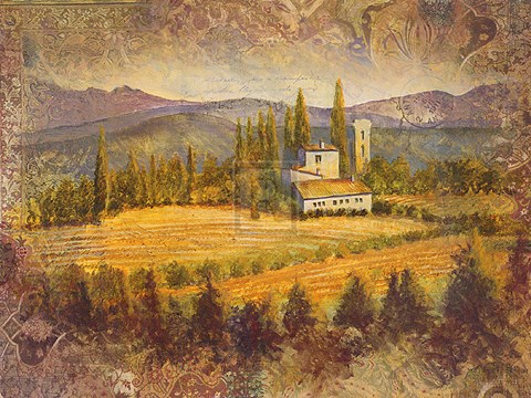 Framed Chianti Land II Print