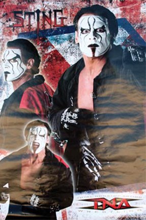 Framed TNA - Sting Print