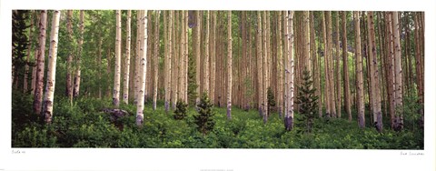 Framed Site 43 Print