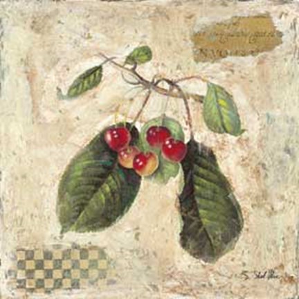 Framed Sokol-hohne - Cherries Print