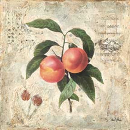 Framed Sokol-hohne - Peaches Print