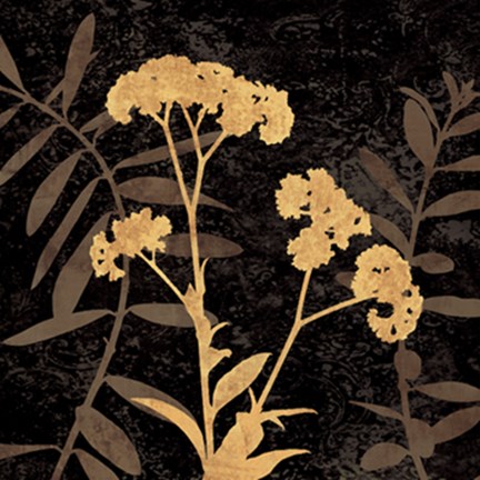 Framed Noir II Print