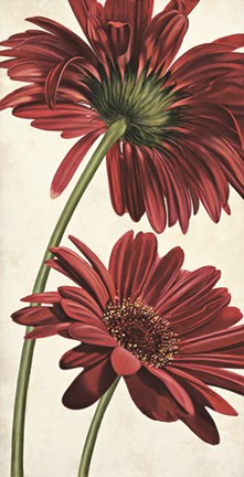 Framed Armonie in rosso Print