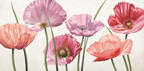 Framed Carezza di luce Print