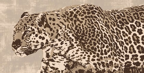 Framed In the Wild Print