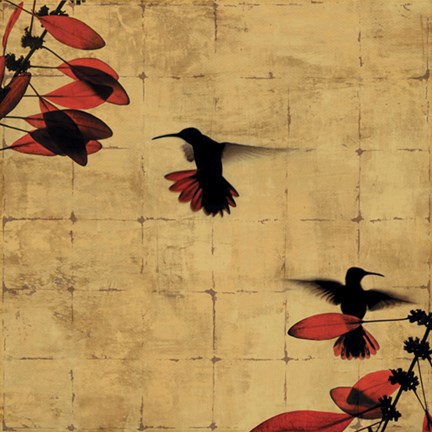 Framed Colibri I Print