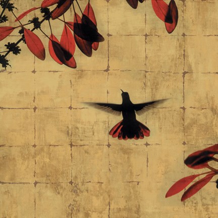 Framed Colibri II Print