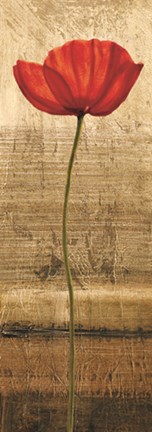 Framed Poppy Panel I Print