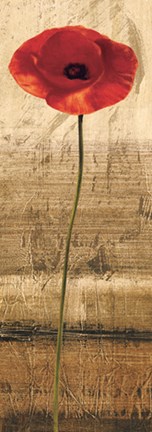 Framed Poppy Panel II Print