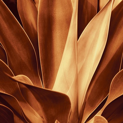 Framed Santa Fe I Print