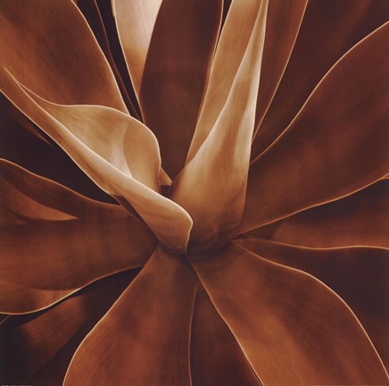 Framed Santa Fe II Print