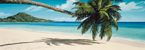 Framed Island View Print