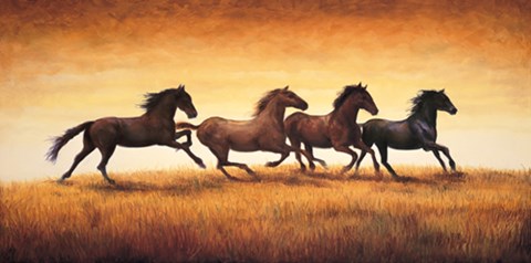 Framed Stallions at Sunset Print