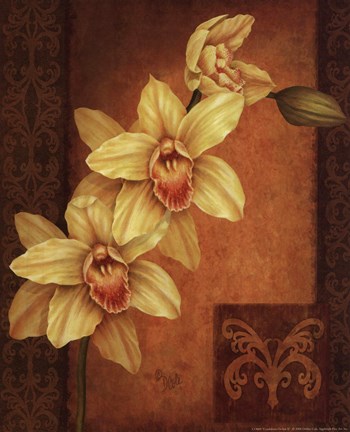 Framed Cymbidium Orchid II Print