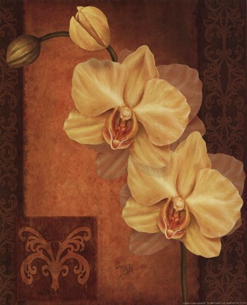 Framed Golden Orchid II Print