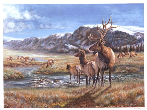 Framed Distant Call Print