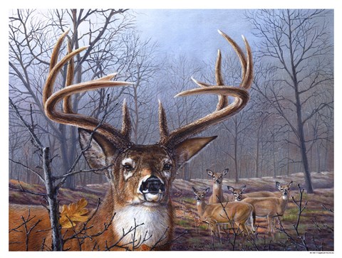 Framed Morning Mist Print