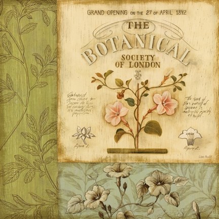 Framed Botanical Exhibit I Print