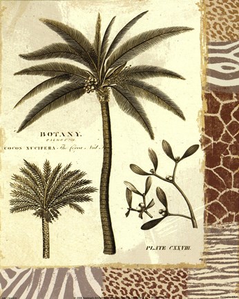 Framed Serengeti II Print