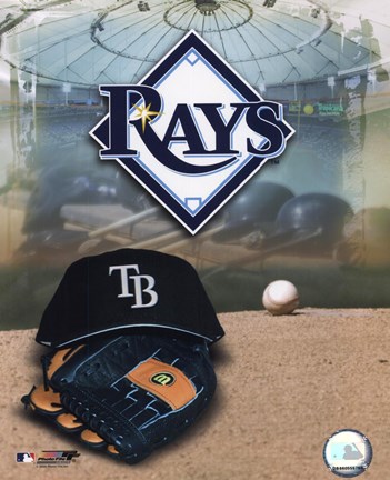 Framed 2008 Tampa Bay Rays Team Logo Print