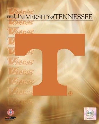 Framed 2008 University of Tennessee Logo Print