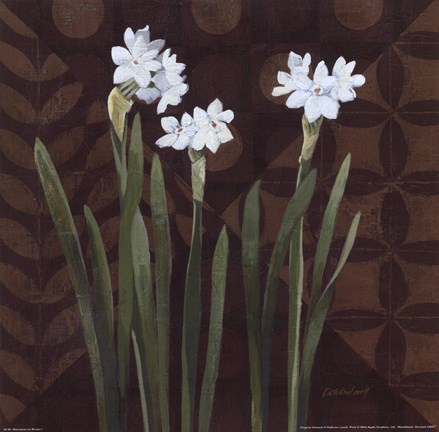 Framed Narcissus on Brown I Print