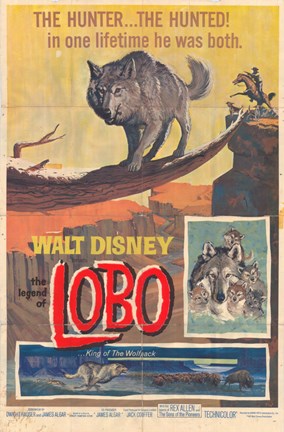 Framed Legend of Lobo Print