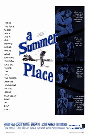 Framed Summer Place Print