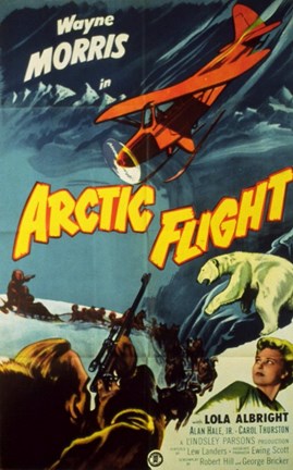 Framed Arctic Flight Print