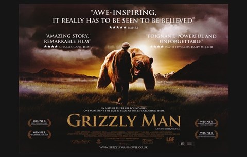 Framed Grizzly Man - awe-inspiring Print