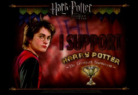 Framed Harry Potter and the Goblet of Fire - I Support Harry Potter Print