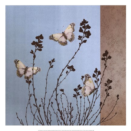 Framed Butterflies Print