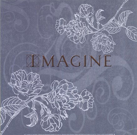 Framed Imagine Print