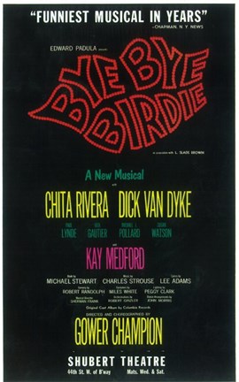Framed Bye Bye Birdie (Broadway) Print