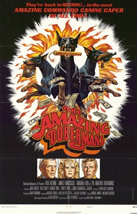 Framed Amazing Dobermans Print