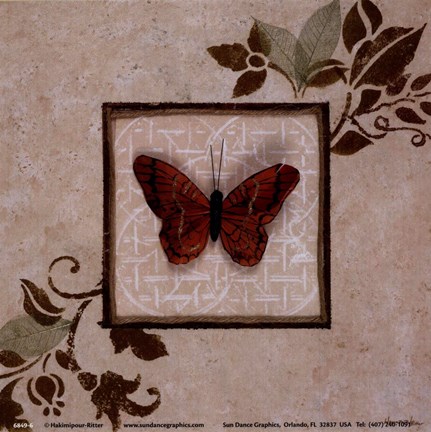 Framed Butterfly Study I Print