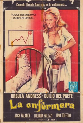 Framed Secrets of a Sensuous Nurse Print