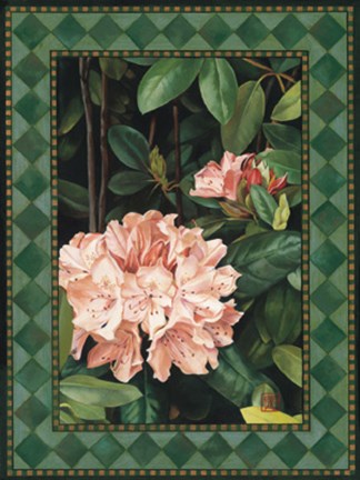 Framed Rhododendrum I Print