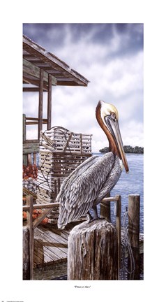Framed Pelican Key Print