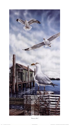 Framed Seagull Key Print
