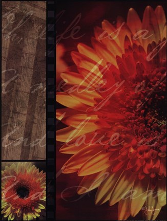 Framed Flower Collage I Print