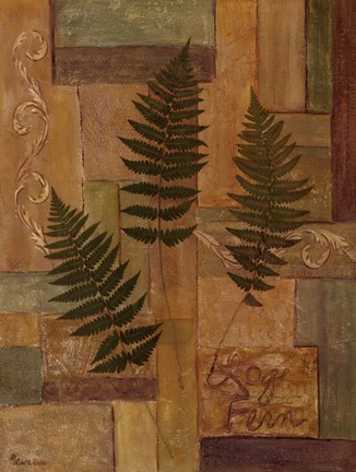 Framed Log Fern Print