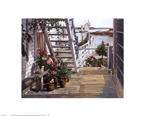 Framed Blue Stair and Begonias, 1987 Print