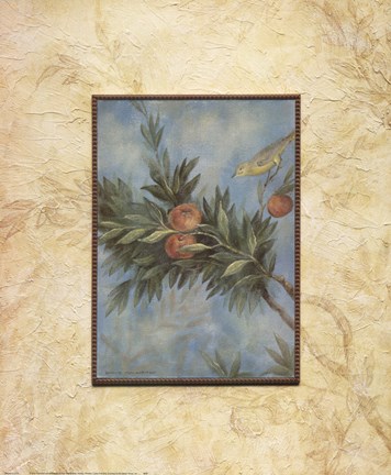 Framed Giardino I Print